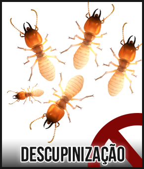 Descupinizacao