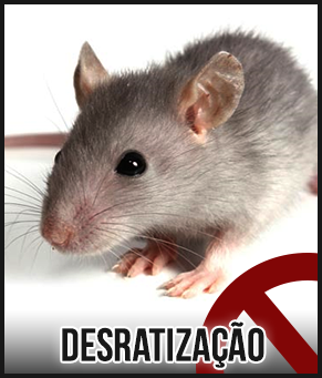 desratizacao