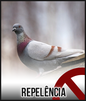 repelencia